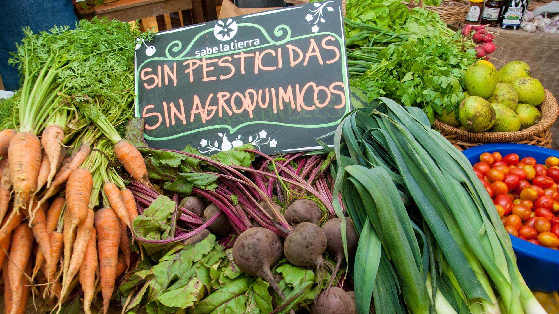 Producción orgánica en Argentina.