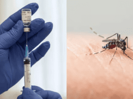 El MInisterio de Salud de Corrientes anunció que no comprará la vacuna contra el dengue