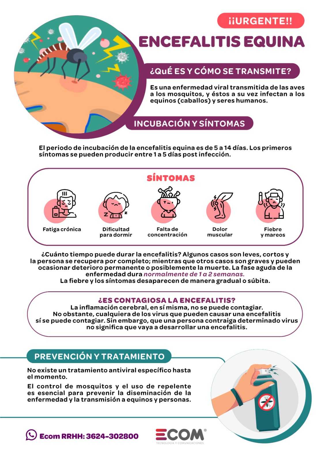 encefalomielitis equina infografía
