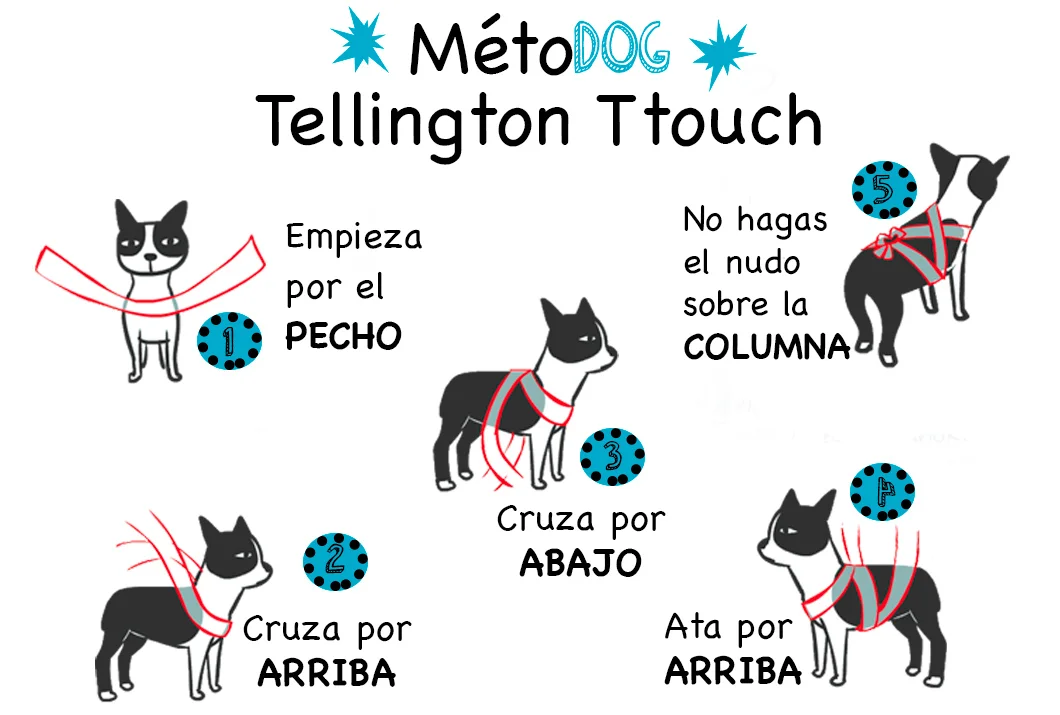 Técnica Tellington Touch para mascotas.