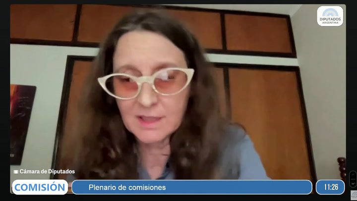 Referentes de la salud mental, cultura, ciencia y tecnología se manifestaron en contra de la ley ómnibus en plenario de comisiones. La cineasta Lucrecia Martel sostuvo que el proyecto “prejuzga” al cine argentino.