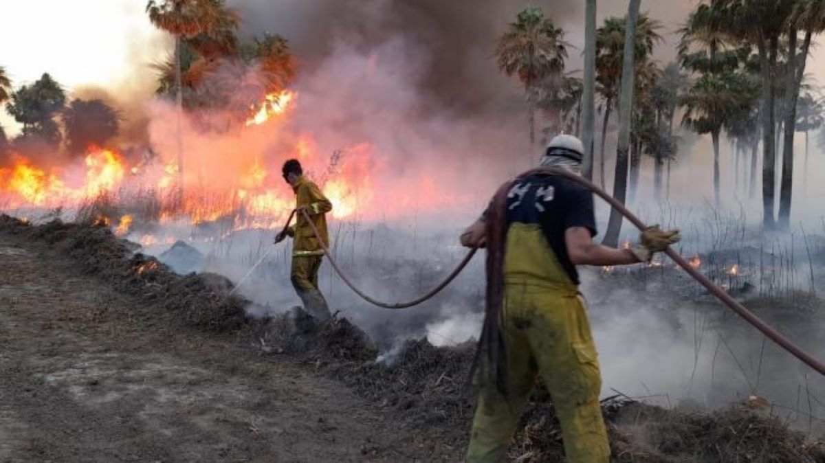 La quema de pastizales es una de las principales causas de incendios forestales.