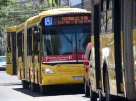 Colectivos en el NEA: ¿Cuál es la situación del paro de transporte en Chaco, Formosa, Misiones y Corrientes?