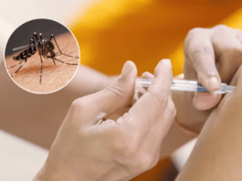 Corrientes inicia la Campaña Provincial de Vacunación contra el Dengue cómo inscribirse
