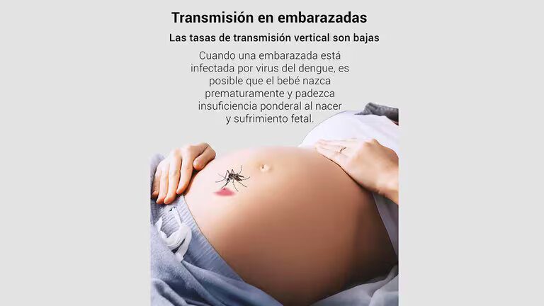 dengue embarazadas