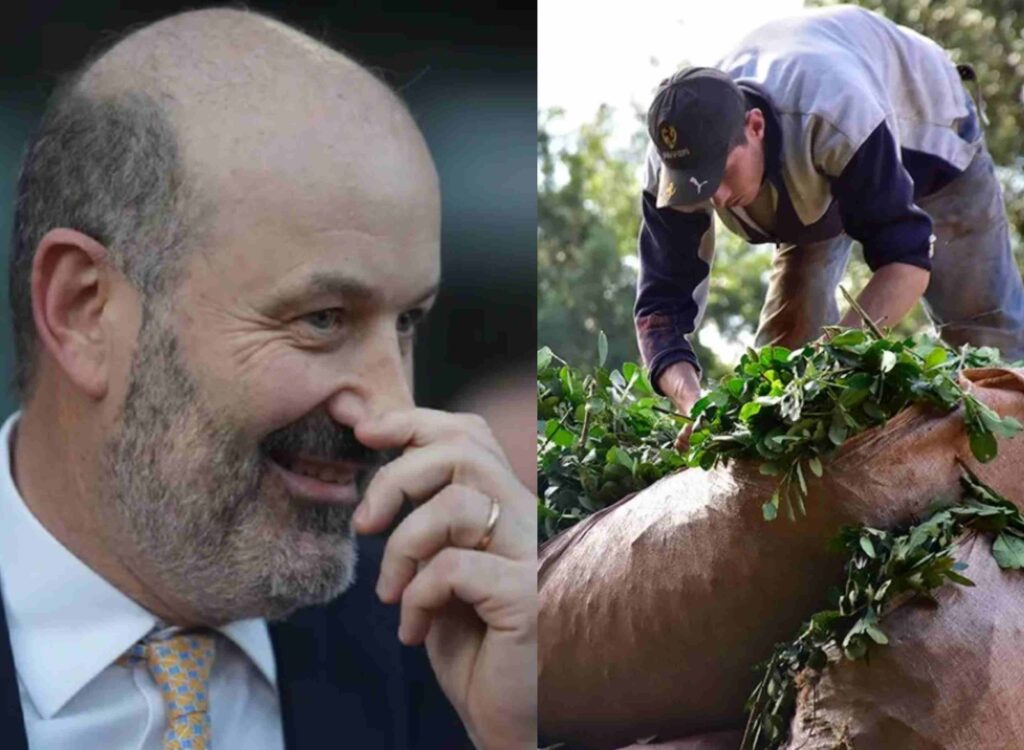 Sturzenegger yerba mate