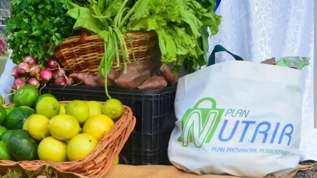Plan Nutrir