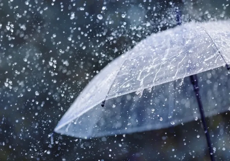Tormentas, niebla y sol: cómo estará el tiempo en el NEA los próximos días