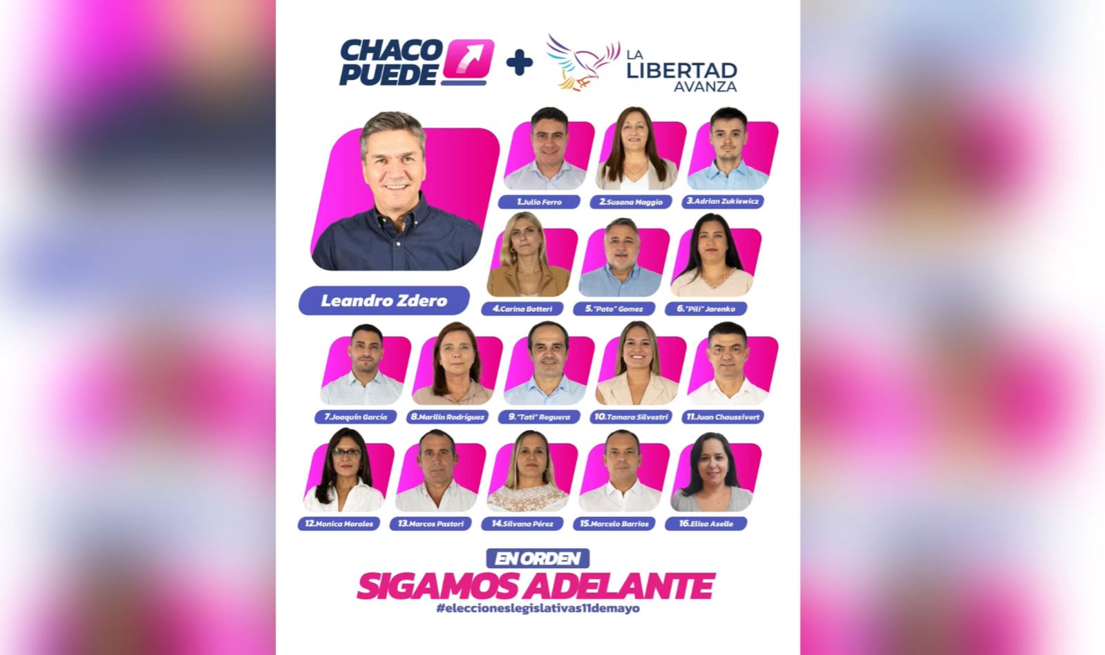 Julio Ferro será titular por el oficialismo en Chaco.