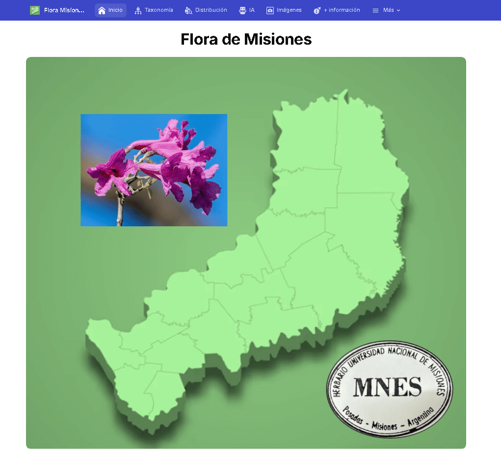 flora de misiones
