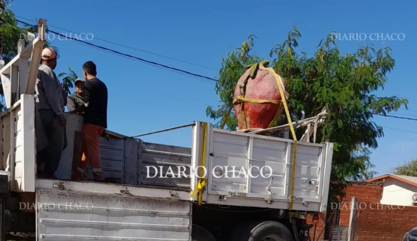 puño rojo