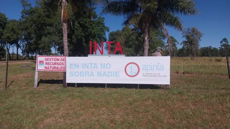 INTA NEA