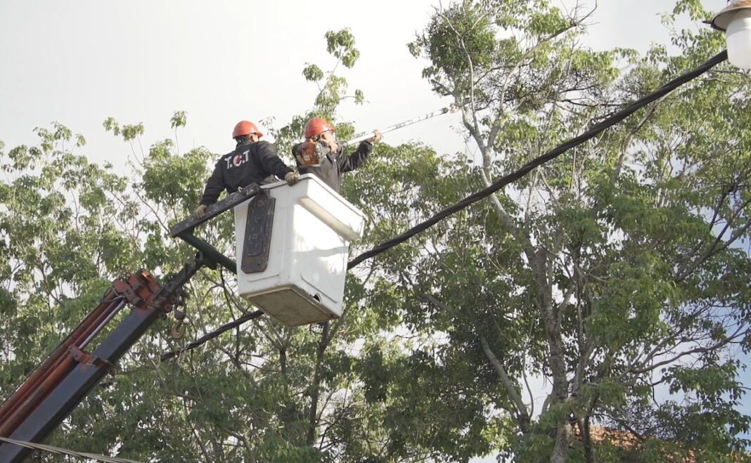 Cortes de luz programados en Posadas por tareas de poda y mantenimiento