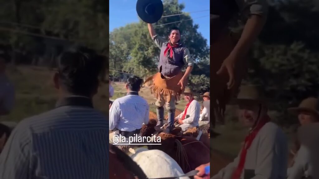 Maltrato caballo Corrientes 3
