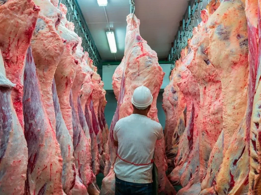 Chile suspendió la importación de carne argentina tras una desregulación del Gobierno