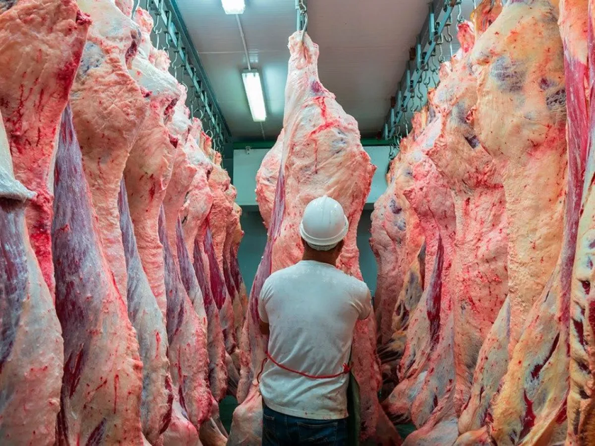 Chile suspendió la importación de carne argentina tras una desregulación del Gobierno