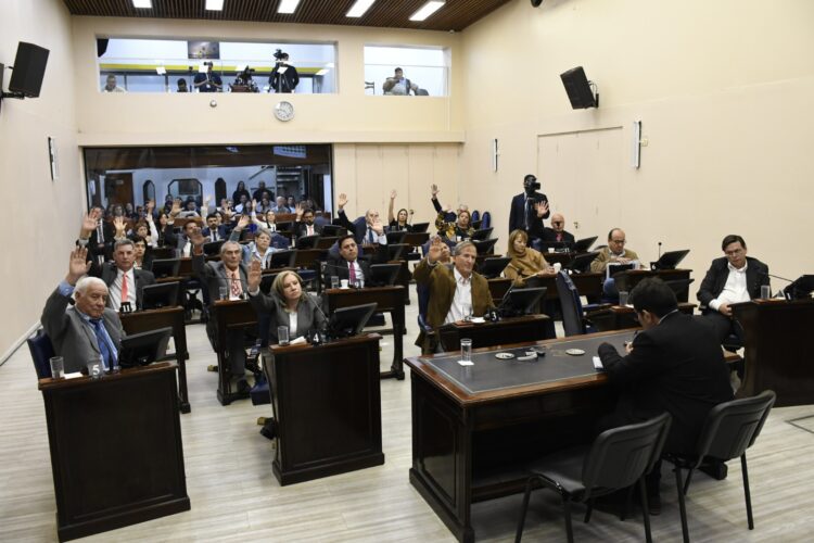 Justicia, tecnología y juventud los ejes de las modificaciones aprobadas por la Convención Constituyente de Formosa