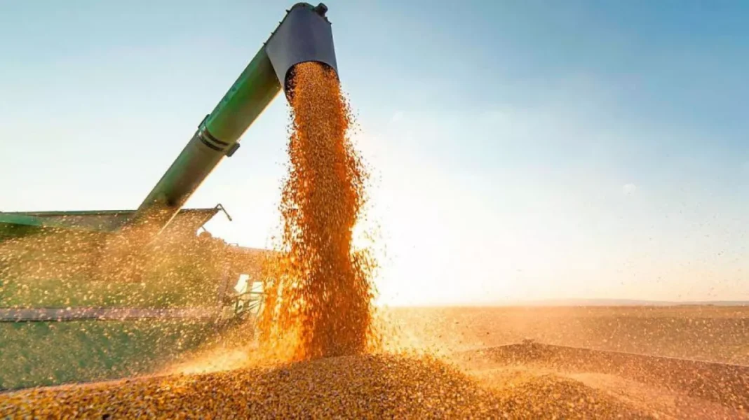 EE.UU. marcó la cancha vuelven las retenciones tras una liquidación de cerealeras de US$7.000 millones