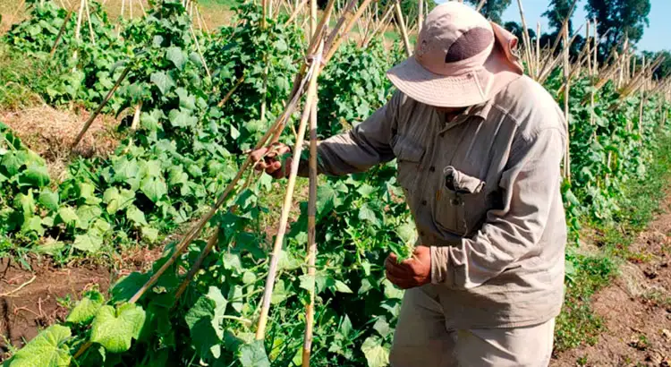 productores del campo retenciones