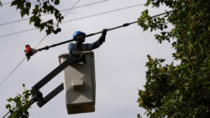 Corte de luz programado en Posadas por operativo de poda qué zonas estarán afectadas
