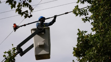 Corte de luz programado en Posadas por operativo de poda qué zonas estarán afectadas