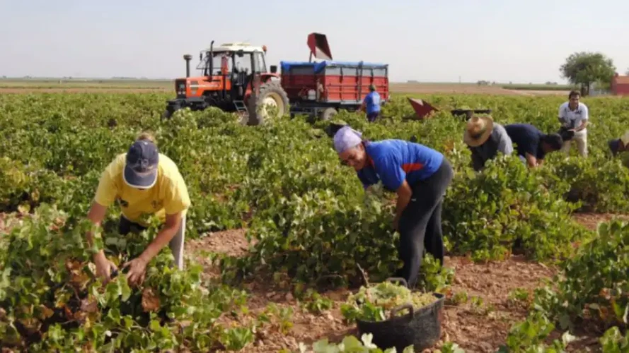 El Gobierno prorrogó el decreto que permite compatibilizar el trabajo rural temporario con programas sociales