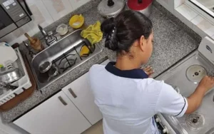 Empleadas domésticas diciembre 2025