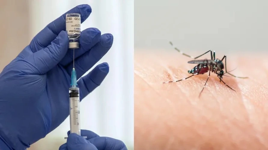 Inició la campaña de vacunación contra el dengue en Misiones dónde aplicarse y cómo acceder