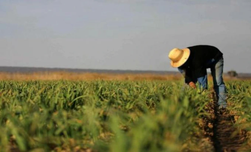 La prestación por desempleo para trabajadores rurales tendrá un máximo de 330.000 2