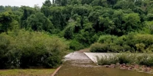 Lluvias en el NEA cierran el acceso al Parque Moconá por la crecida del arroyo Yabotí