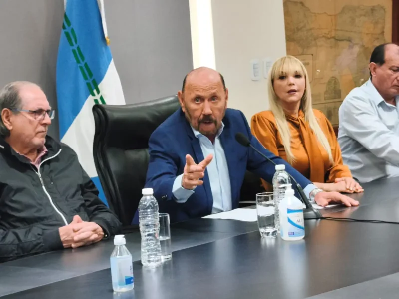 Política salarial de Insfrán y Milei
