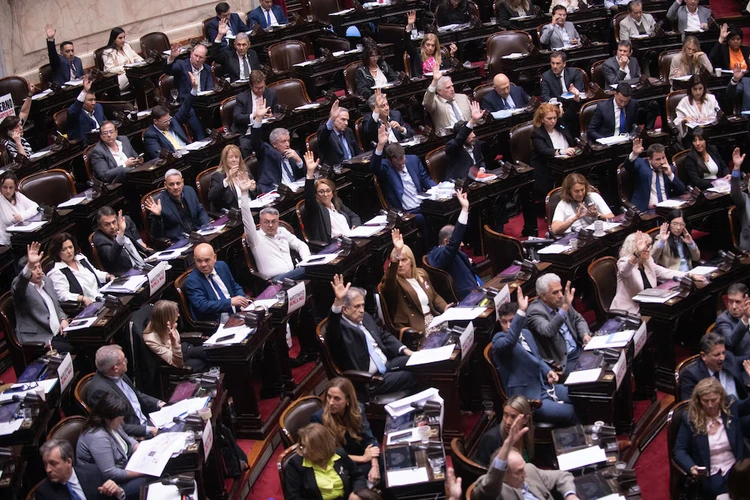 Milei buscará discutir las reformas el año que viene, con la nueva composición del Congreso (Jaime Olivos)