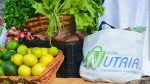 Plan Nutrir en Formosa: fechas y horarios de entrega de bolsones alimentarios