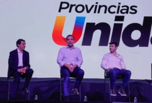 provincias unidas valdés milei diputados