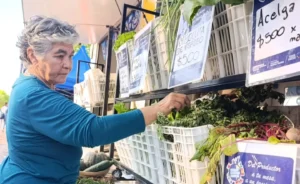 Soberanía Alimentaria Formoseña y PAIPPA estarán este 6 de noviembre en distintos puntos.