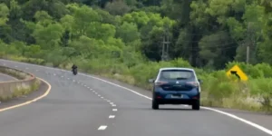 Carteles tapados por malezas en Ruta 12. Foto: Primera Edición.