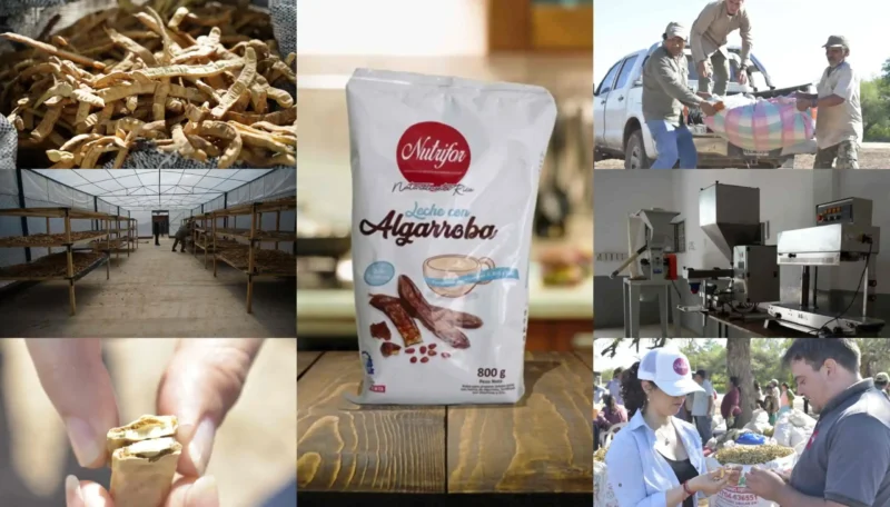 Harina-de-algarroba-nutrifor