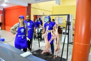 chivito formoseño-paippa-especial navidad