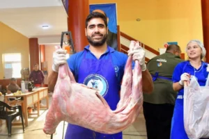 Chivito paippero: el PAIPPA venderá producción formoseña en ferias el 23 de diciembre