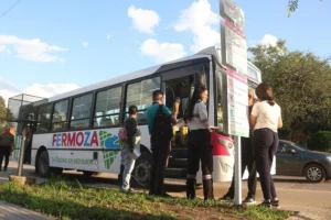 El servicio especial contará con tarifa accesible y recorridos definidos.