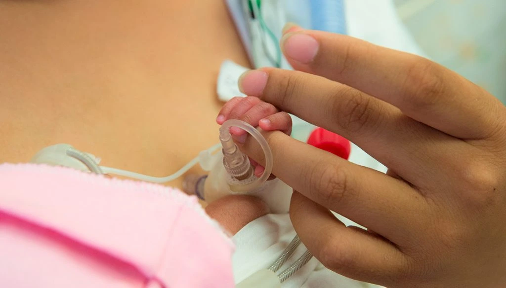 Profesionales superespecializados fueron notificados de la no renovación de contratos, pese a que el programa tiene respaldo legal vigente.