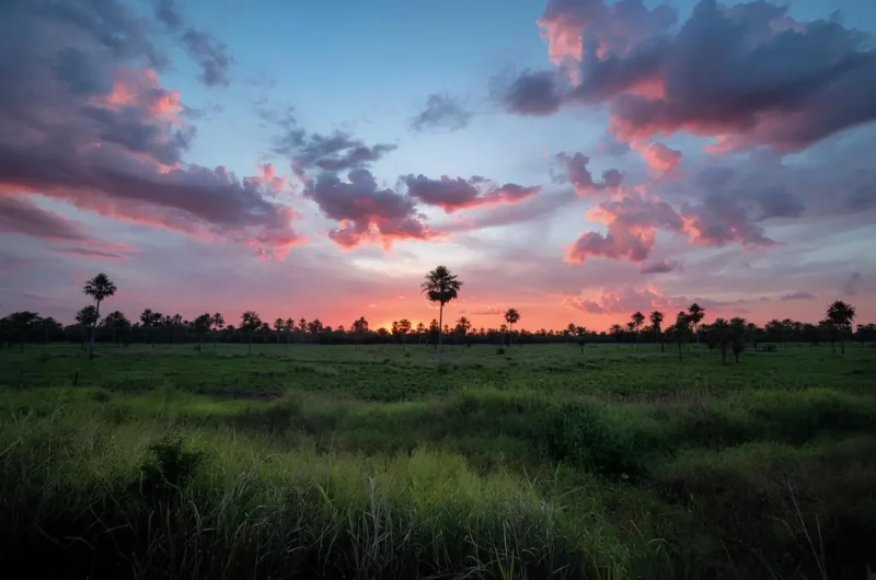 Foto: gentileza de Pablo Córdoba, Gran Chaco Gualamba.