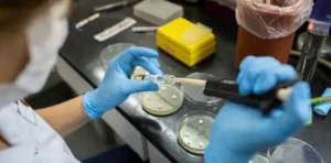 Chaco confirmó el primer caso de gripe H3N2. Foto: Instituto Malbrán.