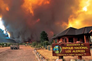 En la Patagonia el daño ya es devastador: más de 300 mil hectáreas arrasadas, viviendas destruidas, fauna silvestre diezmada y comunidades enteras afectadas por el humo y el fuego. Foto: Viento Sur.