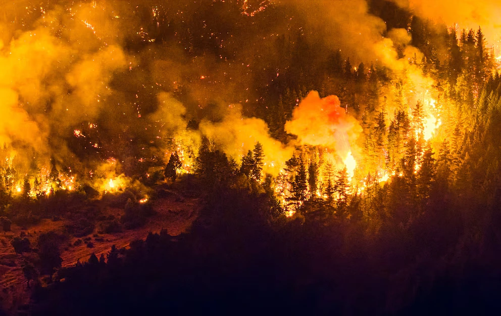 Incendios forestales en Chubut afectan más de 3.500 hectáreas y el clima dificulta el control