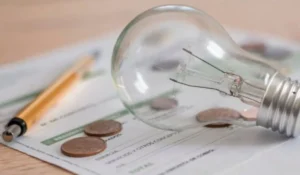 El promedio de consumo energético nacional mostró una baja del 3,2%, pero el contraste con el NEA es contundente.