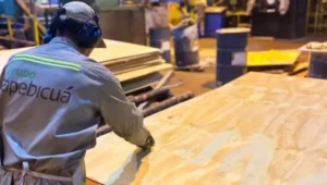 La Forestadora Tapebicuá en Corrientes ingresó al concurso de acreedores y están en riesgo casi 400 empleos.