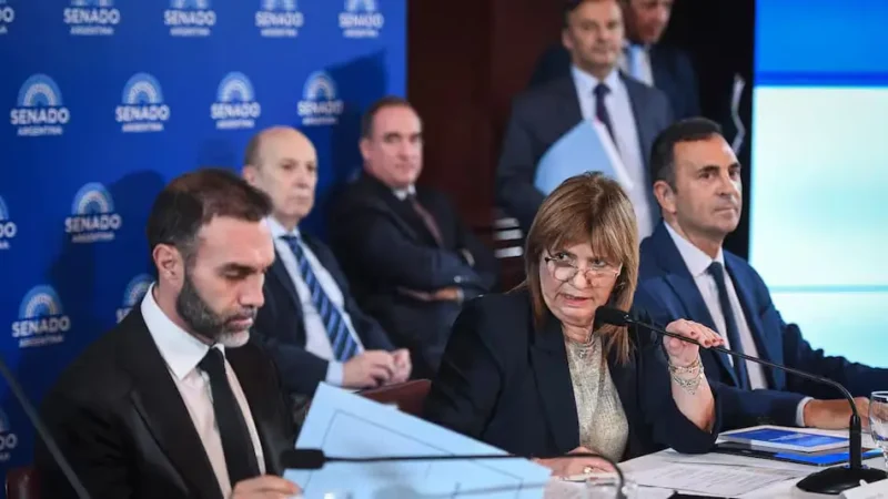 El pedido cuenta con el respaldo de 44 de los 72 senadores. Foto: Senado.