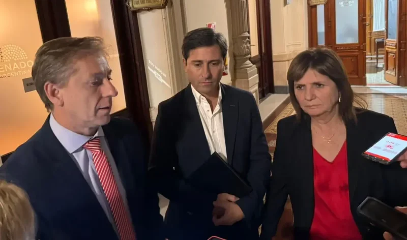 El senador correntino Eduardo Vischi y el misionero Goerling Lara junto a Patricia Bullrich, tras la reunión del lunes 9 de febrero. Foto: Gentileza.