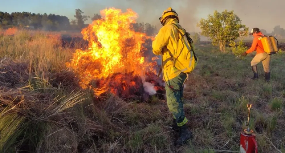Misiones continúa en emergencia ígnea y advierten que se registran hasta 20 incendios diarios 2